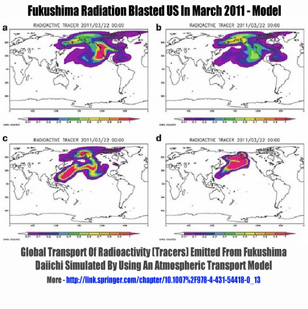 Fukushima Radiation Plume Nears West Coast - Graphs & Vid Diachii