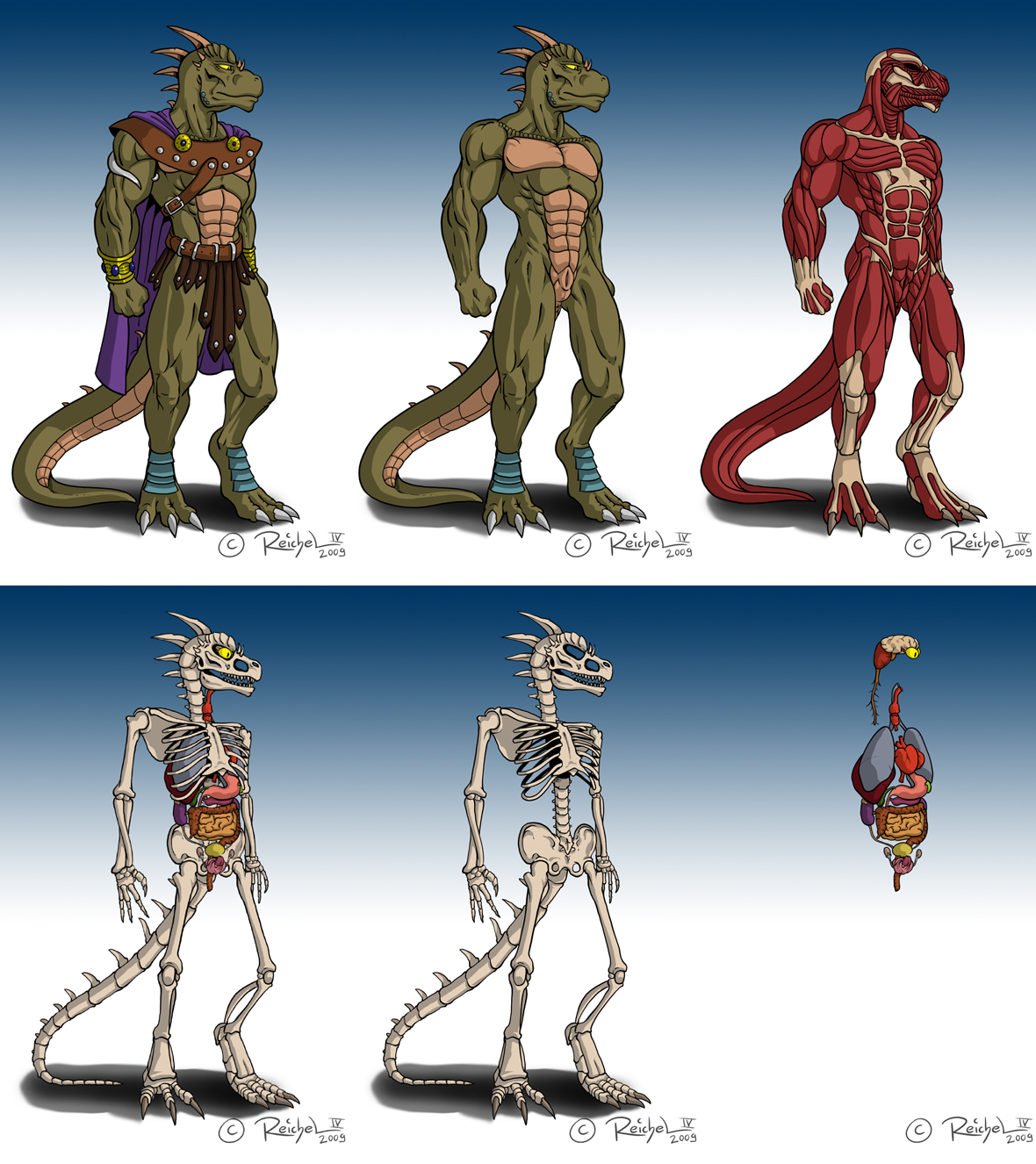 United States AI Solar System (2) - Page 11 Reptile%20Anatomie