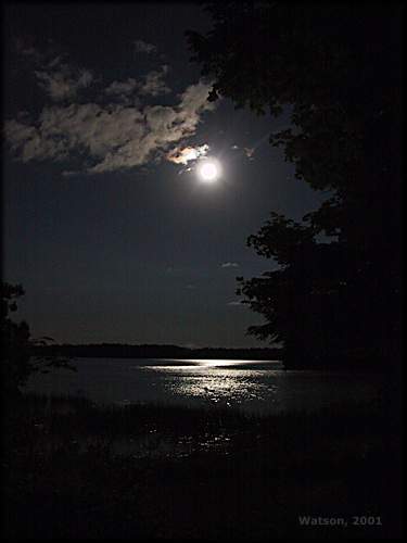 ضوء القمر لعيون ضوء القمر Moonlight