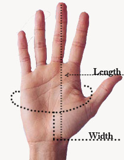 sexual orientation - DISSERTATION STUDY: 'An Analysis of the Sexual Dimorphism of Hands' Hand