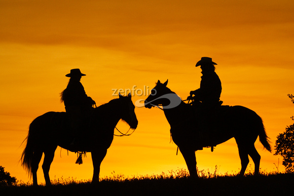 Cowboy Sunset P383472044-3