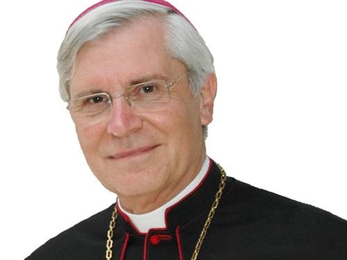 La dernière campagne de Monseigneur Jean-Michel di Falco Léandri JMdF-500x375