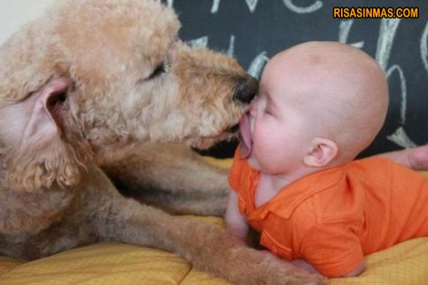 mandame un beso o un abrazo  Beso-entre-perro-y-bebe-rsm-600x399