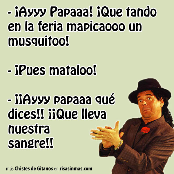  EN CLAVE DE HUMOR - Página 40 Chiste-gitano-mosquito