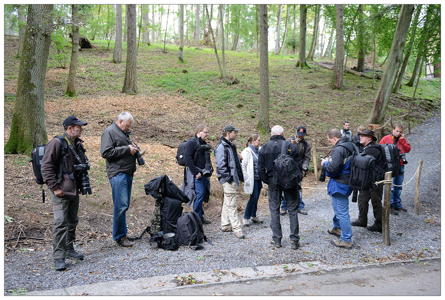 Sortie aux Grotte et Brame du cerf à Han / Lesse : Les photos d'ambiances 2012-han-sur-lesse-01