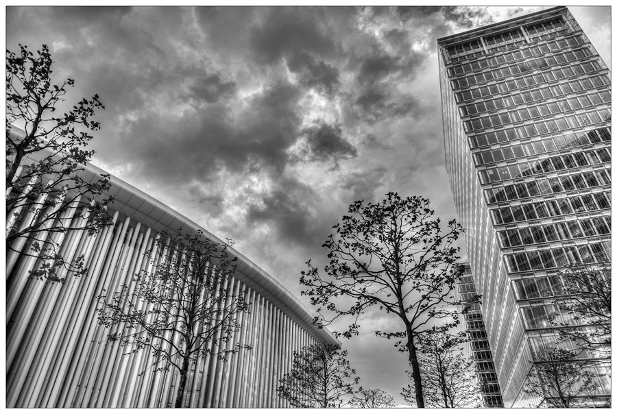 Philharmonie à Luxembourg 800_3160-11