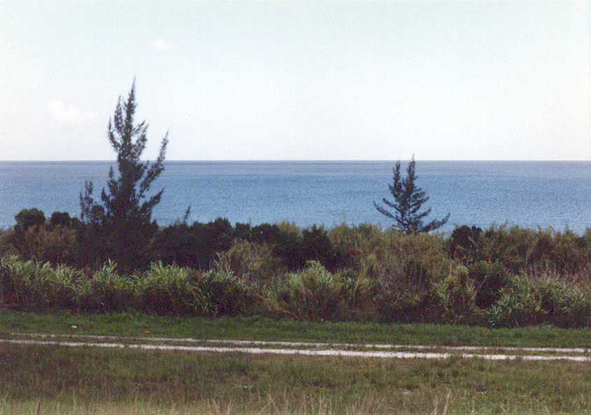 GEOGRAFIA-O MAIOR LAGO DA FLORIDA-90 000 CROCODILOS Lake_Okeechobee_L