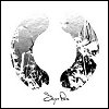 Sigur Rós Sigurros_lp02