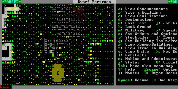Dwarf Fortress [Juego muy dificil] D8