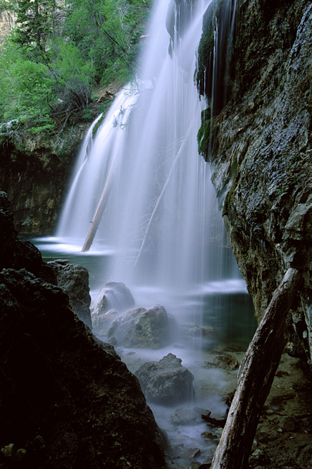 •Pond Dust Magic Wolves•- Part Eight-  The Lost Is Never Forgotten  NO MORE POSTING 10/29/09 Hlfalls