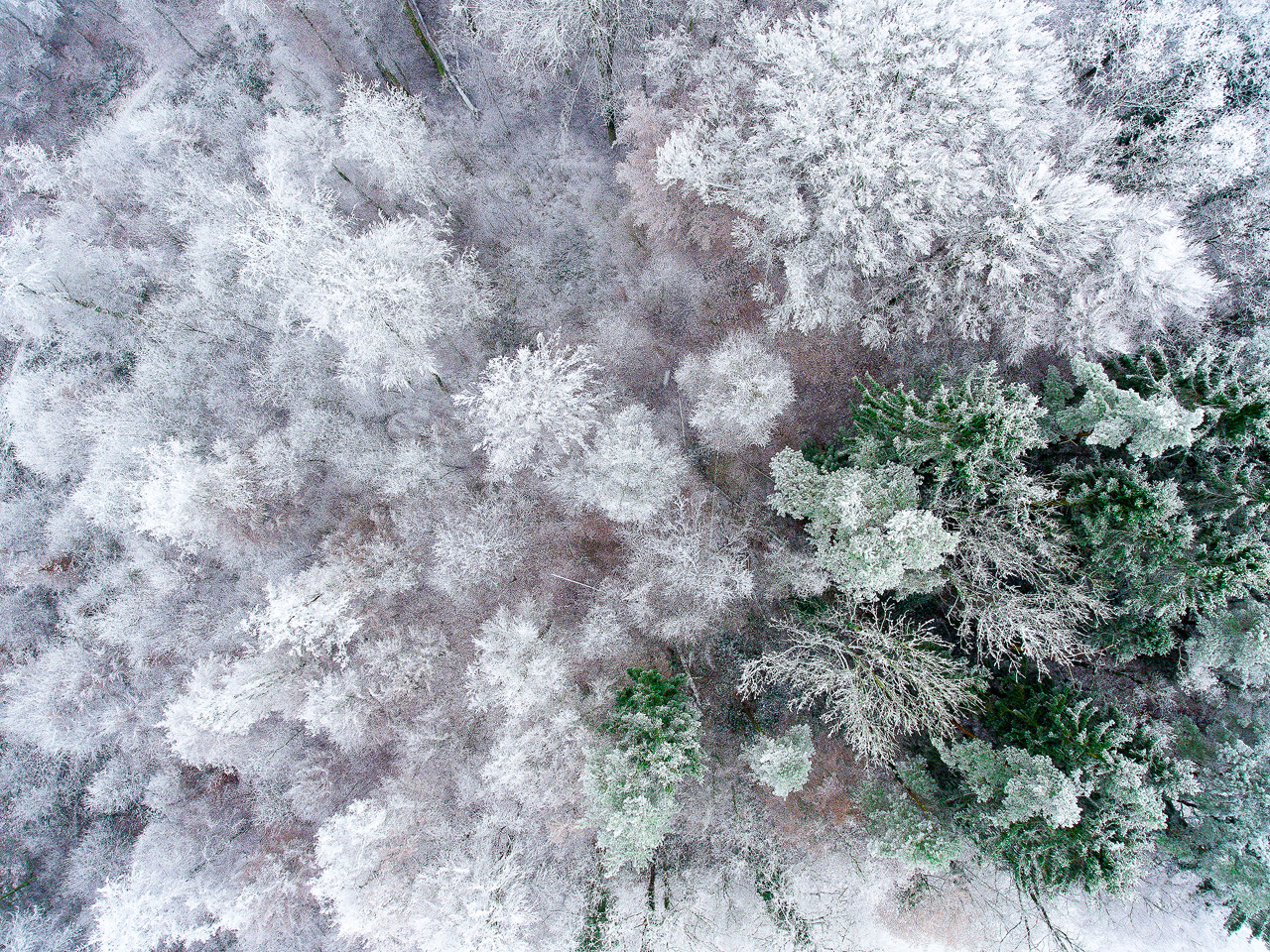 Essai photo de givre DJI_0166