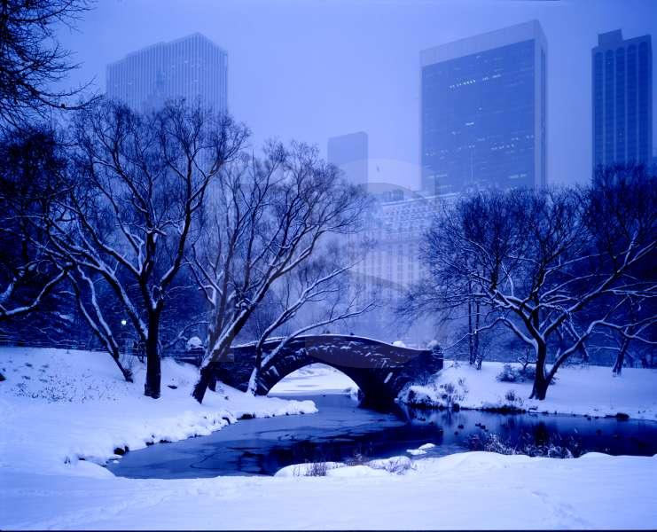 Aletrnate Central Park CentralParkGapstowBridge