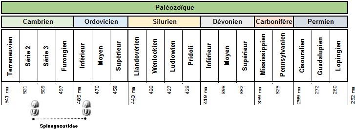 A - Diagnose de la famille des Spinagnostidae Fossiles_4rdhnhtzlyjauv3dxkup