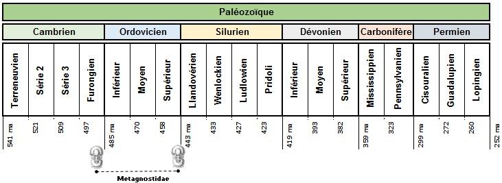 A - Diagnose de la famille des Metagnostidae Fossiles_9vug44be685t97mw5jsh