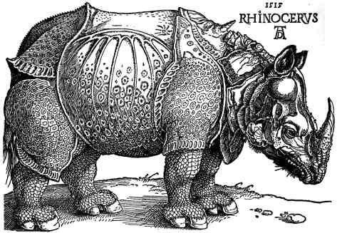 Aujourd'hui Rhinoferoce fête ses 26 ans Durer_-_Rhinoceros