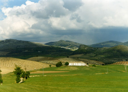 "Vertes Collines" by Gimdolf_Fleurdelune Pt12938