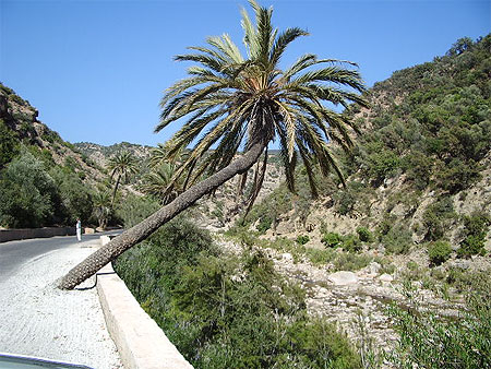 ما رأيك بجولة سياحية داخل المغرب ؟ هل أنت مستعد  Pt79830