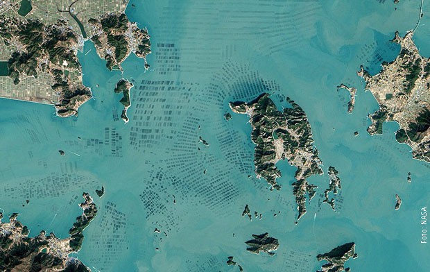 Slike Zemlje iz svemira  - Page 4 Farme-algi