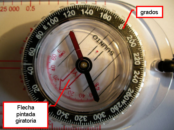 Orientarse con brújula 234-02