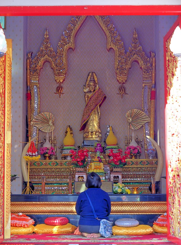Sukhothai: Orchideenausstellung und historische Altstadt P1510022-028