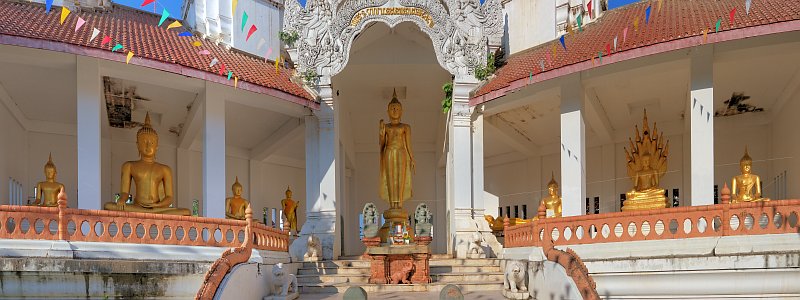 Sukhothai: Orchideenausstellung und historische Altstadt P1510050-070