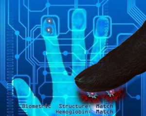 New biometric cryptology takes us one step closer to a Cashless Society Biocrypt1-300x239