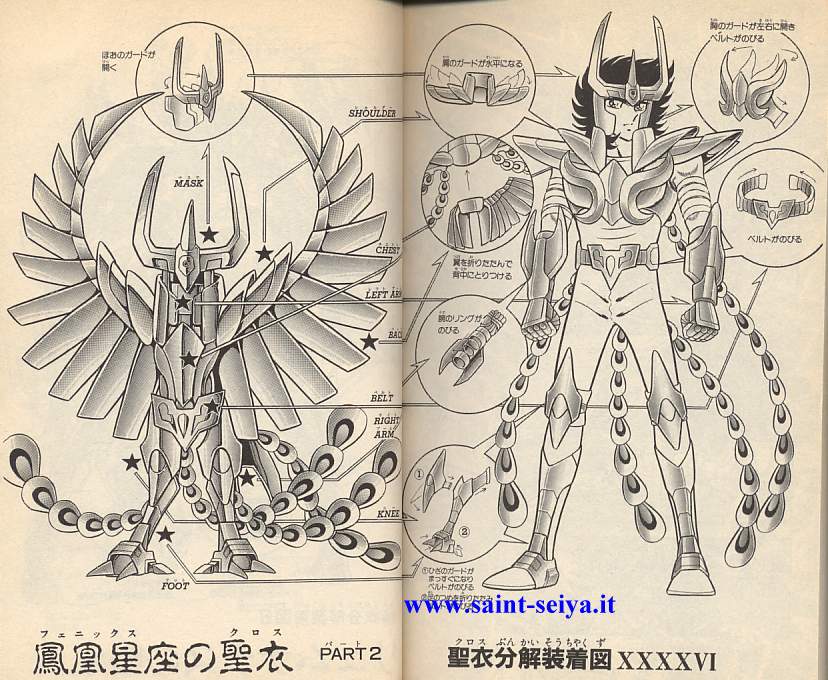 Ikki du Phoenix Scheda46