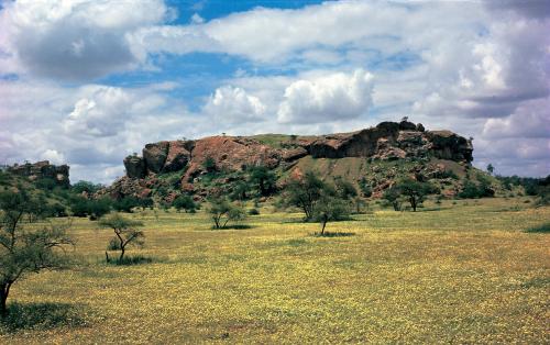 Lista del Patrimonio Mundial. - Página 10 Mapungubwe%20Hill