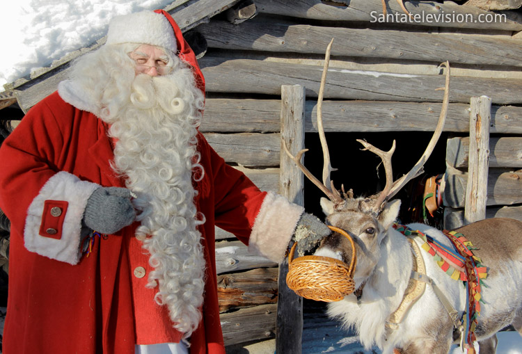 De belles images chaque jour  - Page 22 Santas_reindeer_of_santa_claus_father_christmas