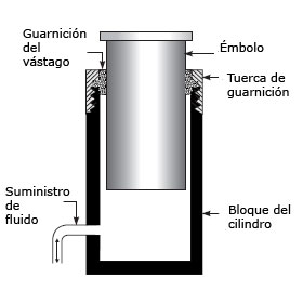 Embolo cabeza bolo Embolo