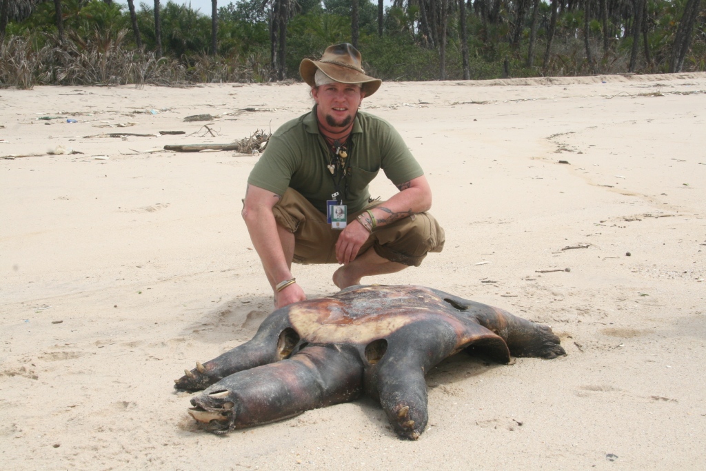 Trionyx triunguis - fotos African_Soft_shell_1_WKlein09