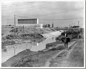 FOTO/ Cilët ishin 45 hotelet e famshme të Shqipërisë së vitit 1940 (LISTA) Hotel-dajti-300x242