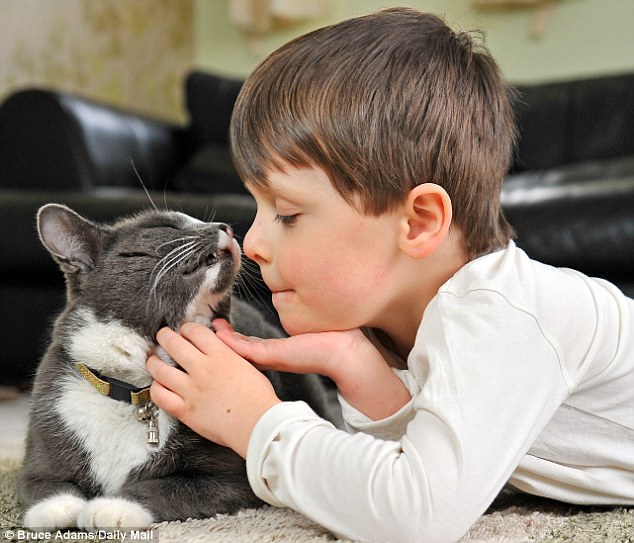 La loca de los Gatos  - Página 3 Gato-y-nino-autista