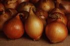 معلومات عن البصل Onion0