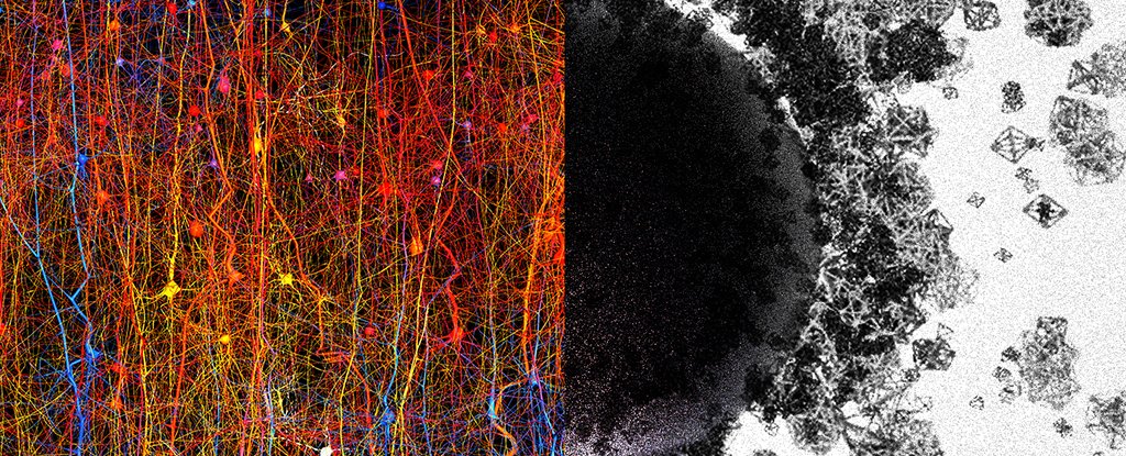 SVJETSKI STRUČNJAK ZA MOZAK: "Više vremena haluciniramo nego što vidimo stvarnost" - Page 2 Brain-algebraic-topology-frontiers_1024