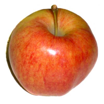 البنات كالتفاح Honeycrisp-apple