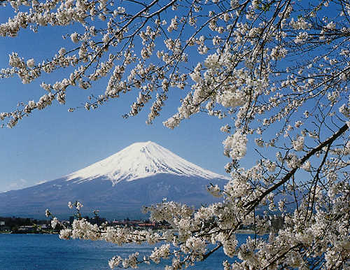  (    ) Fuji_mountain