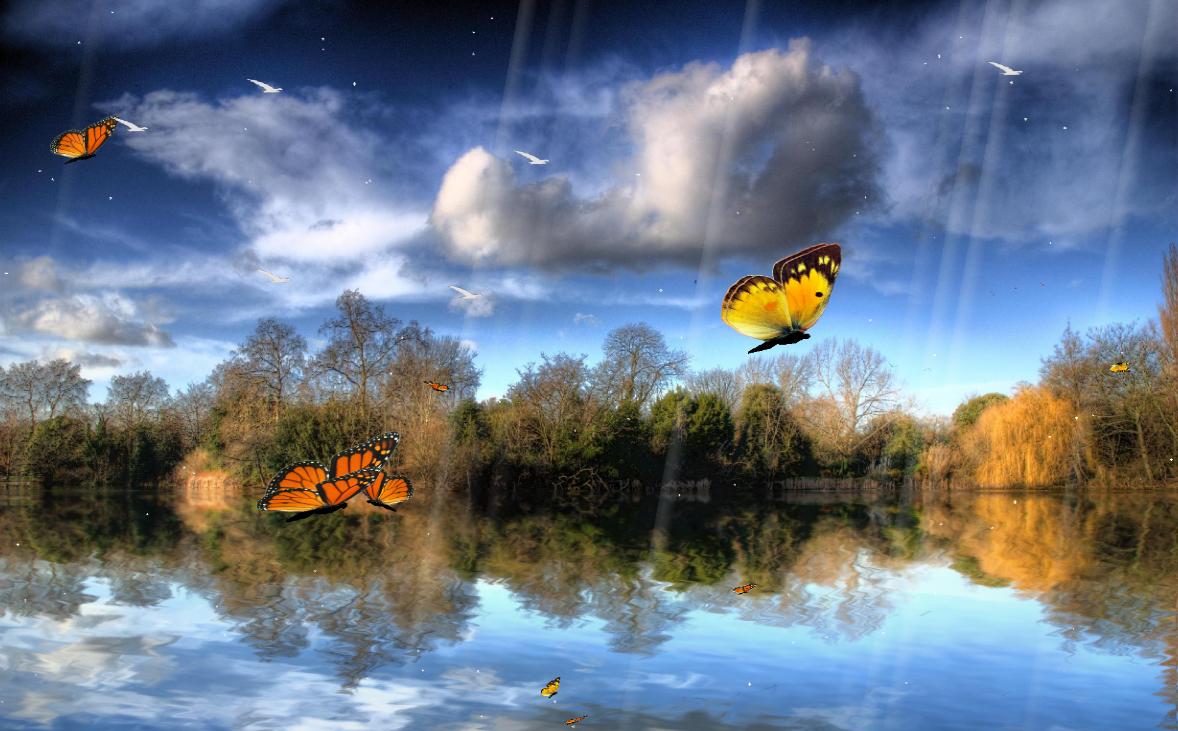 "فراشات البحيرة" أجمل شاشة توقف 2012 Butterfly Lake Screensaver ButterflyLake