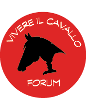 Vivere il cavallo