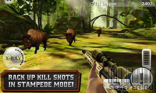 Deer Hunter Reloaded  1334648578_4