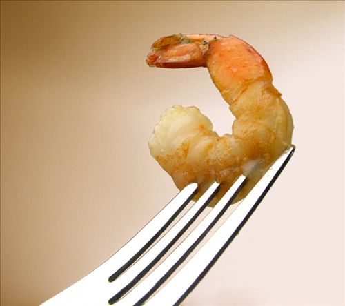 جربة Shrimp%20on%20Fork