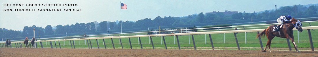 Secretariat Cog_Color_Stretch_HR