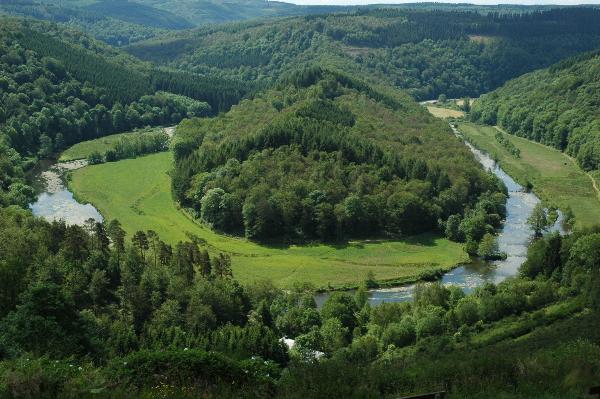 Du Cordemoy à La Vallée du Mont d'Or en passant par La Brumeuse Semois-vallei