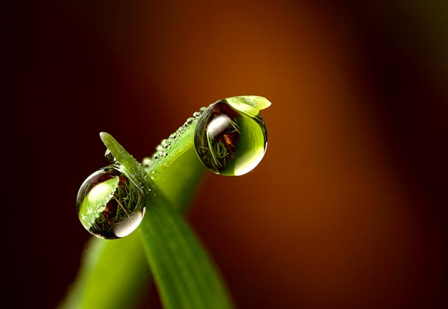 باران و شبنم و بهار Water_drops_18