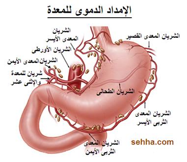 السرطان بانواعه cancer Gastric-cancer06