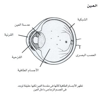 		  الأجسام الطافية والوميض Floaters1