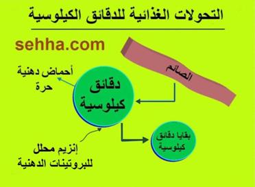 فرط الدهون الثلاثية بالدمHypertriglyceridemia  Hypertriglyceridemia4