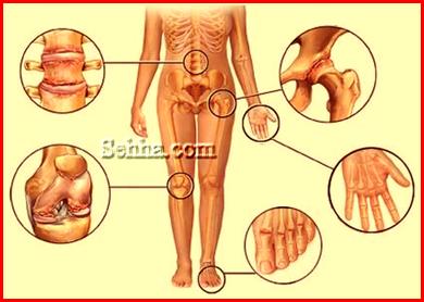 أفضل الأوقات لتناول الأدويه Optimaltimetotakemedications4