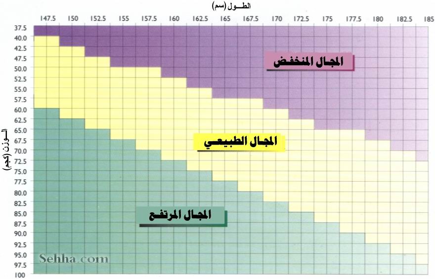 متابعة الزيادة فى الوزن أثناء الحمل Sehha-pwm1