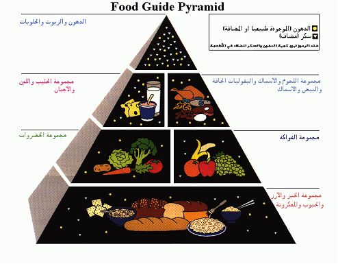 برنامج غذائي كامل لمرضي السكر FoodPyramid1